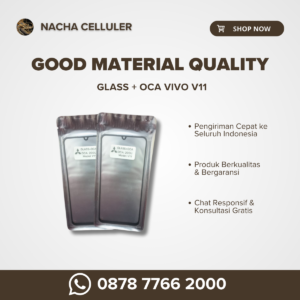 glass + oca vivo v11