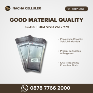 glass + oca vivo v6+ y79